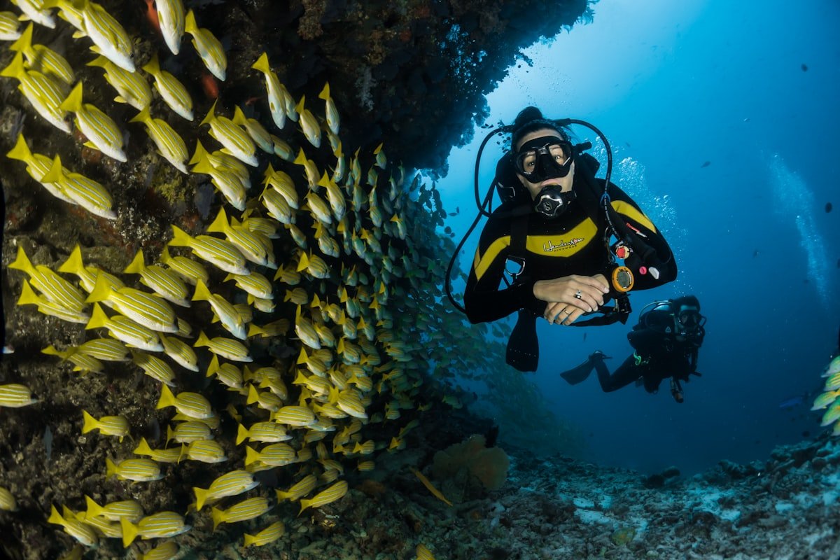 Island Hopping by Cruise: 5 Hidden Gems in the Visayas