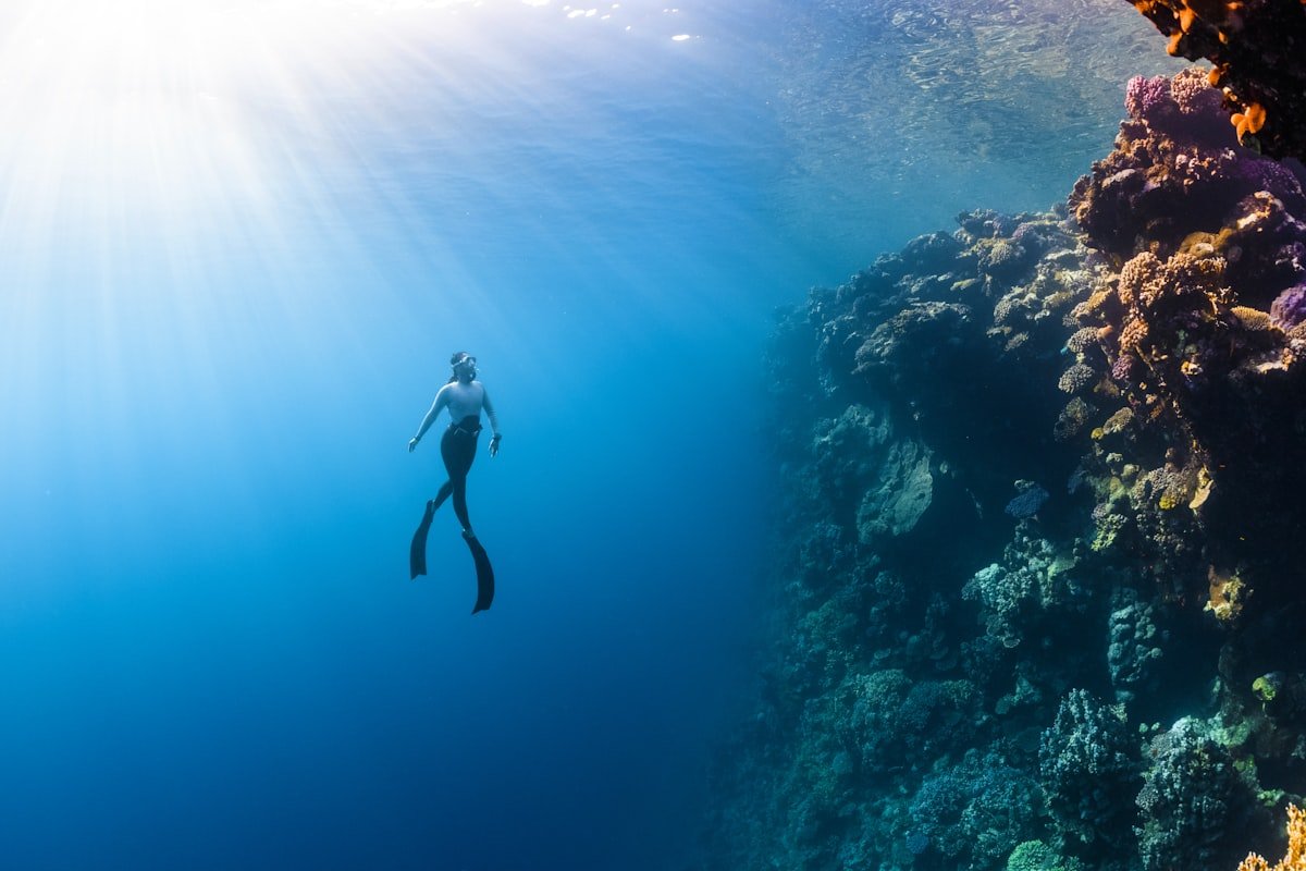 Tubbataha Reef Expedition